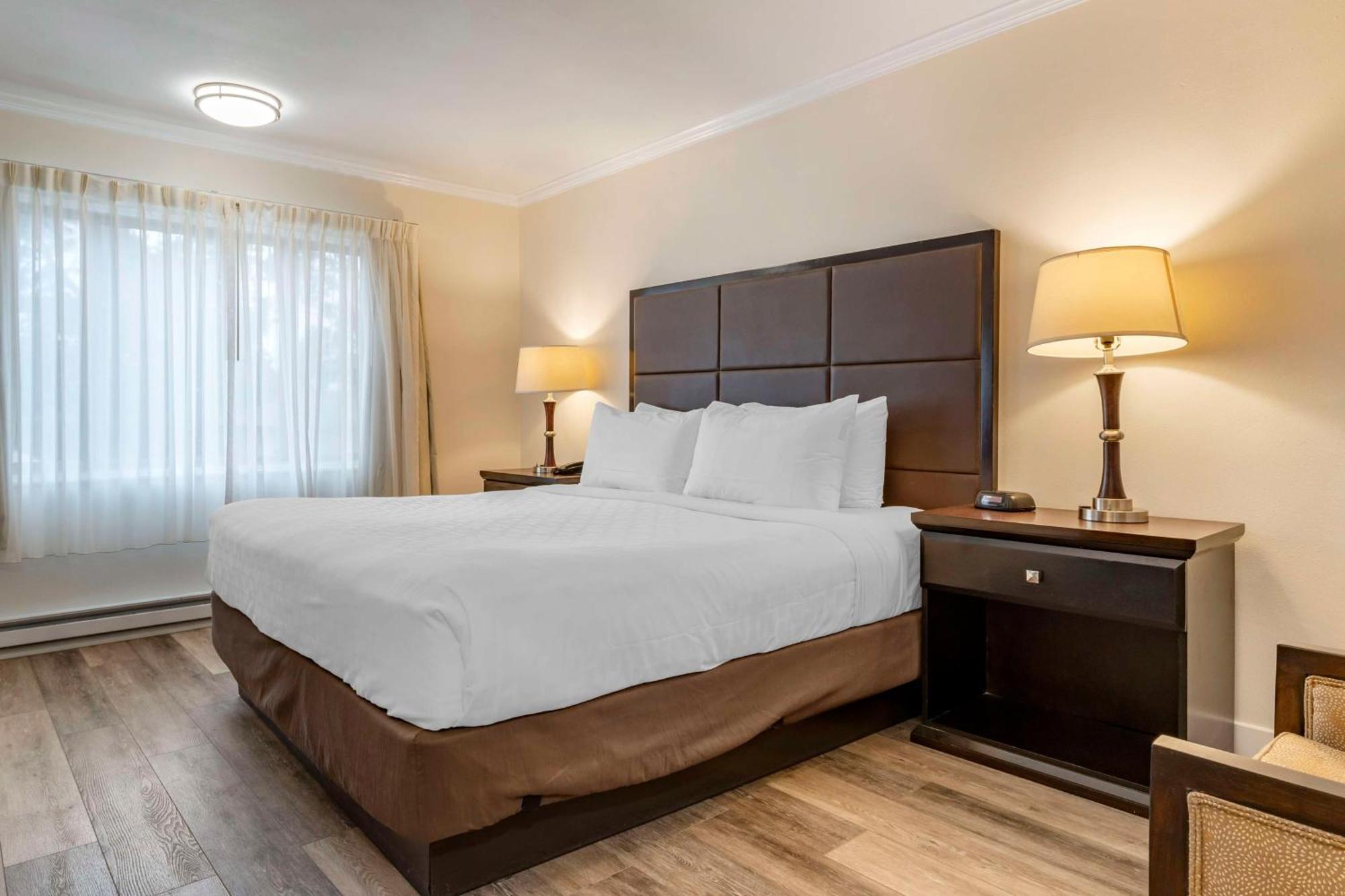 Best Western Carmel'S Town House Lodge Esterno foto